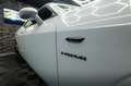 Dodge Challenger 5.7 V8 R/T SRT Performance *LED*19%* Gris - thumbnail 12
