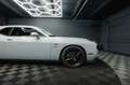Dodge Challenger 5.7 V8 R/T SRT Performance *LED*19%* Gris - thumbnail 17