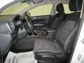 Kia Sportage 1.6 CRDI 136 CV DCT7 2WD Mild Hybrid Business Cla White - thumbnail 5