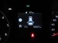 Kia Sportage 1.6 CRDI 136 CV DCT7 2WD Mild Hybrid Business Cla White - thumbnail 15