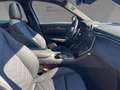 Maserati Grecale TROFEO '23 Nero&Nero / Top Specification crna - thumbnail 13