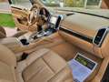 Porsche Cayenne Diesel 245 Aut. Negro - thumbnail 15