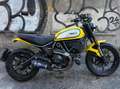 Ducati Scrambler Icon 800 Jaune - thumbnail 6
