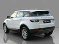 Land Rover Range Rover Evoque 5p 2.2 td4 Pure 150cv Bianco - thumbnail 6