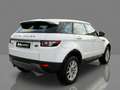 Land Rover Range Rover Evoque 5p 2.2 td4 Pure 150cv Bianco - thumbnail 4