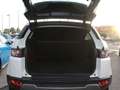 Land Rover Range Rover Evoque 5p 2.2 td4 Pure 150cv Bianco - thumbnail 15