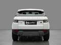 Land Rover Range Rover Evoque 5p 2.2 td4 Pure 150cv Bianco - thumbnail 5