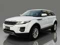Land Rover Range Rover Evoque 5p 2.2 td4 Pure 150cv Bianco - thumbnail 3