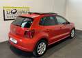 Volkswagen Polo Sky 1,6 TDI DPF DSG * Pano * Xenon * 4 Zylinder * Naranja - thumbnail 8