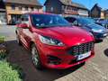Ford Kuga ST-Line Rot - thumbnail 3