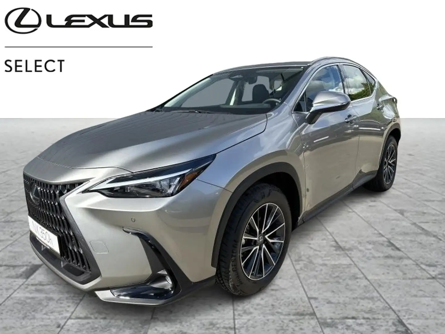 Lexus NX 350h Business Line Gris - 1