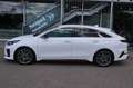 Kia ProCeed / pro_cee'd ProCeed GT Kombi*Bi-LED*Kamera*Navi* Weiß - thumbnail 6