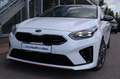 Kia ProCeed / pro_cee'd ProCeed GT Kombi*Bi-LED*Kamera*Navi* Weiß - thumbnail 4