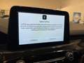Ford Kuga 2.5 Duratec - 225 - e-CVT PHEV 4x2  III  ST-Line Grau - thumbnail 16