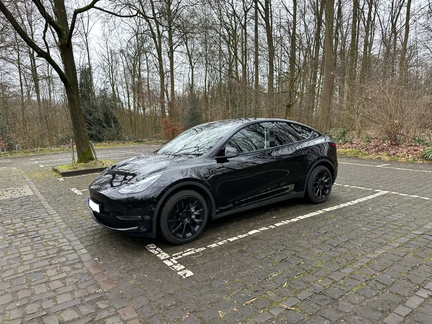 Tesla Model Y Model Y Long Range Dual Motor AWD Чёрный - 1