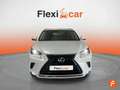 Lexus NX 300h 2.5 Business Navigation 2WD Blanc - thumbnail 3