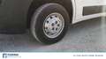 Peugeot Boxer 335 2.0 bluehdi 130cv L2H1 E6 Blanc - thumbnail 12