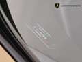 Lamborghini Huracán STERRATO 5.2 610-4 AWD - IVA ESPOSTA Verde - thumbnail 10