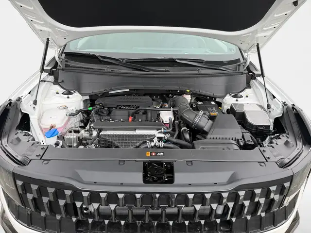 Kia Seltos view 14