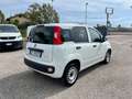 Fiat Panda Panda 1.0 firefly hybrid - VAN Weiß - thumbnail 5