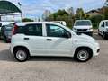 Fiat Panda Panda 1.0 firefly hybrid - VAN Weiß - thumbnail 4