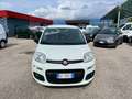 Fiat Panda Panda 1.0 firefly hybrid - VAN Weiß - thumbnail 2