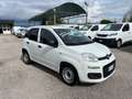Fiat Panda Panda 1.0 firefly hybrid - VAN Weiß - thumbnail 3