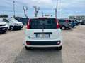 Fiat Panda Panda 1.0 firefly hybrid - VAN Weiß - thumbnail 6