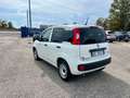 Fiat Panda Panda 1.0 firefly hybrid - VAN Weiß - thumbnail 7