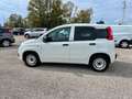 Fiat Panda Panda 1.0 firefly hybrid - VAN Weiß - thumbnail 8