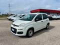 Fiat Panda Panda 1.0 firefly hybrid - VAN Weiß - thumbnail 1