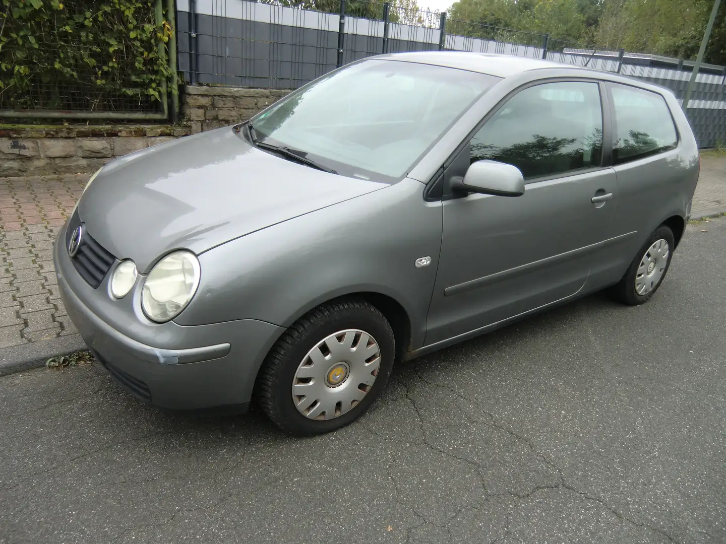 Volkswagen Polo Cricket Grau - 1
