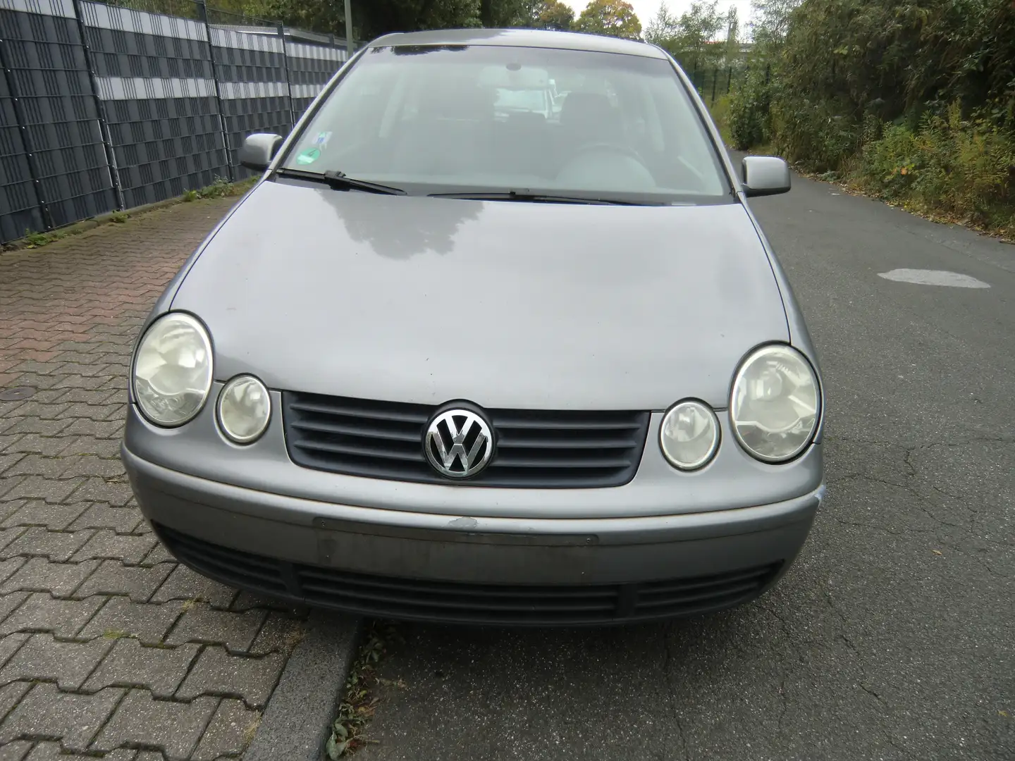 Volkswagen Polo Cricket Grau - 2