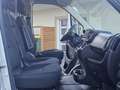 Fiat Ducato Ducato 33 L1H1 140 - thumbnail 19