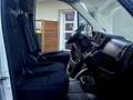 Fiat Ducato Ducato 33 L1H1 140 - thumbnail 16