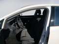 Volkswagen Golf VIII 1.5 TSI Life APP+LED+SHZ Weiß - thumbnail 13