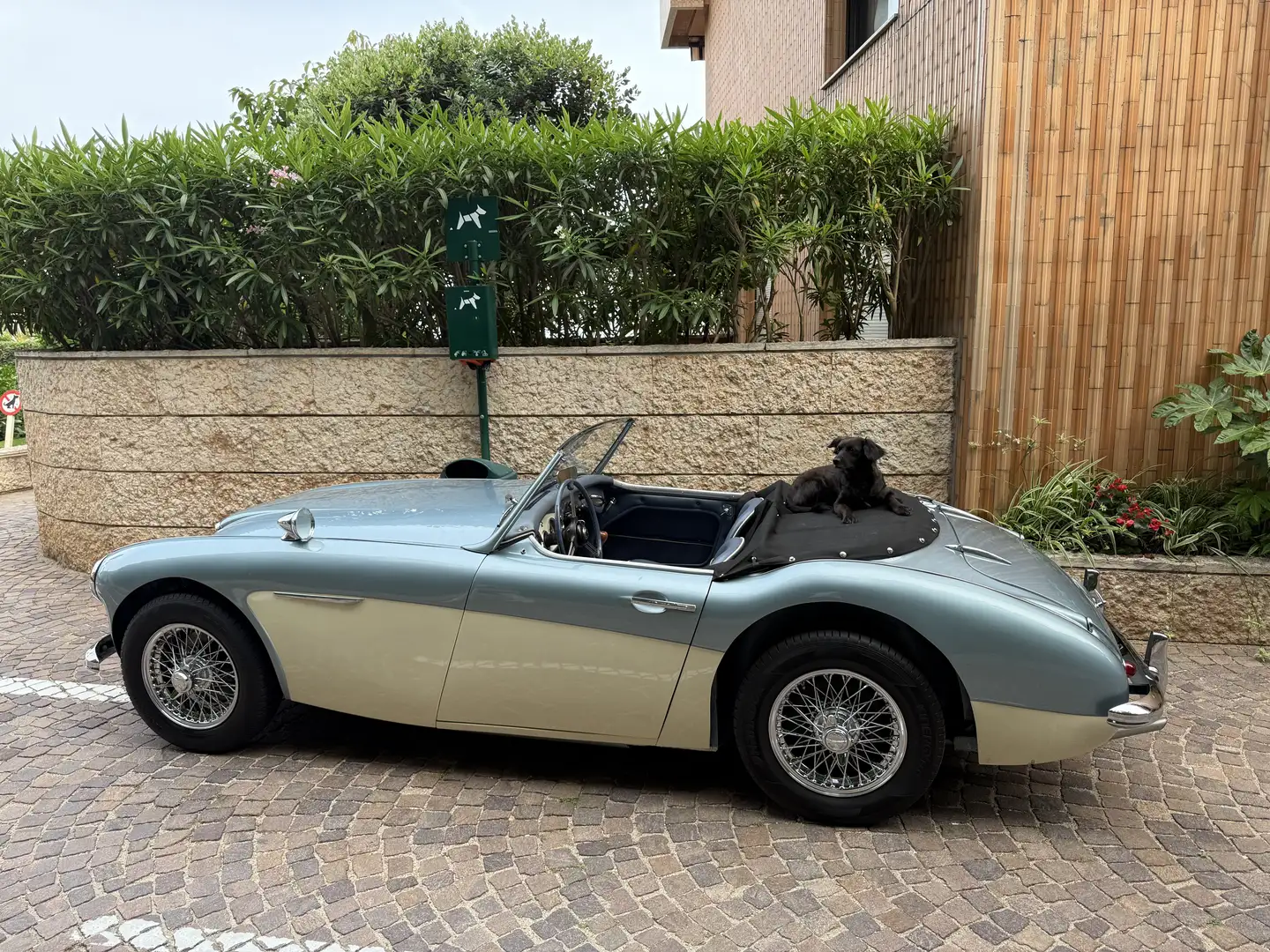 Austin-Healey 3000 BT7 3 CARBURATORI - SCAMBIO - PERMUTO - 1