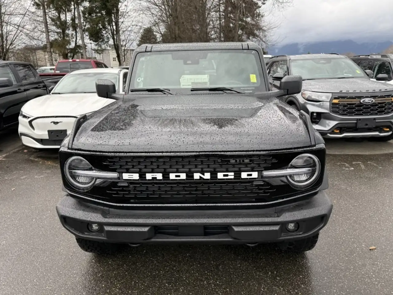 Ford Bronco снимка Ford Bronco