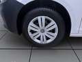 Volkswagen Caddy Cargo 2.0 TDI SITZHZG GRA PDC DAB+ Weiß - thumbnail 8