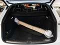 Audi Q5 40 TDI quattro S line Matrix Navi virtCo Kam Weiß - thumbnail 7