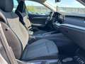 Skoda Octavia Combi 1,0 TSI e-Tec Style DSG Grau - thumbnail 12