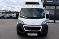 Peugeot Boxer L3H3 BlueHDi 130*TIEFKÜHLWAGEN*Ladebordwand* Weiß - thumbnail 23