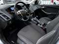 Ford Focus SW 1.6 tdci Individual 115cv OK NEOPATENTI - thumbnail 8