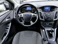 Ford Focus SW 1.6 tdci Individual 115cv OK NEOPATENTI - thumbnail 13