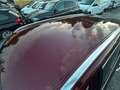 Renault Talisman Intens Hagelschaden Navi LED Teilleder Rot - thumbnail 15
