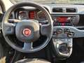 Fiat Panda 1.0 firefly hybrid 70cv - UNICO PROPRIETARIO Grigio - thumbnail 9