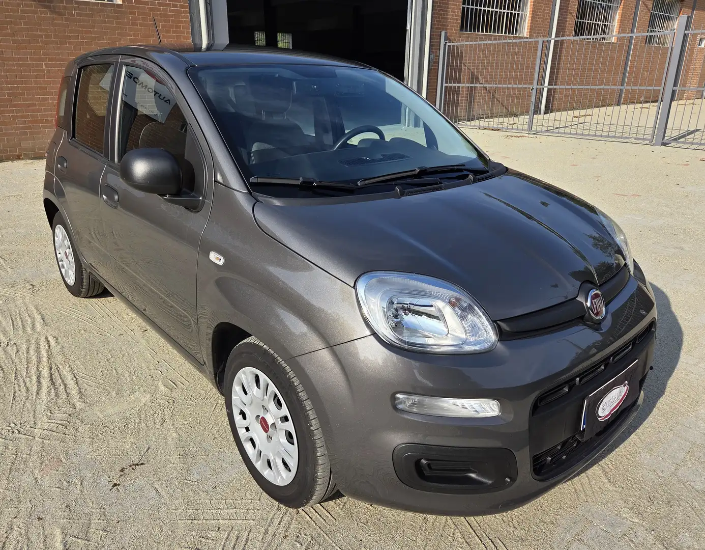 Fiat Panda 1.0 firefly hybrid 70cv - UNICO PROPRIETARIO Grigio - 2
