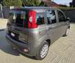Fiat Panda 1.0 firefly hybrid 70cv - UNICO PROPRIETARIO Grigio - thumbnail 3