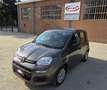 Fiat Panda 1.0 firefly hybrid 70cv - UNICO PROPRIETARIO Grigio - thumbnail 1
