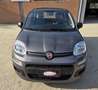 Fiat Panda 1.0 firefly hybrid 70cv - UNICO PROPRIETARIO Grigio - thumbnail 6